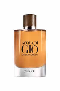 عطر ادکلن جورجیو آرمانی آکوا دی جیو ابسولو | Giorgio Armani Acqua Di Gio Absolu