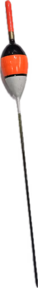 شناور ماهیگیری ریشه درخت برزیلی