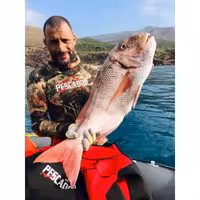 وت سوت 3 میل یاماموتو پسکادور PESCADOR SUB EVO