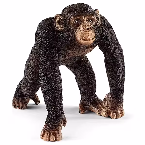 شامپانزه نر اشلایش Schleich