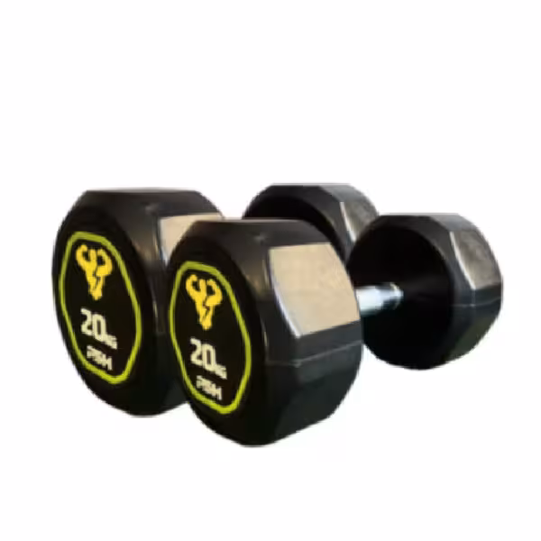دمبل گرد وزن 20 کیلوگرم