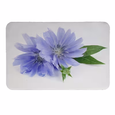 زیرقابلمه ای طرح گل  کد 5549