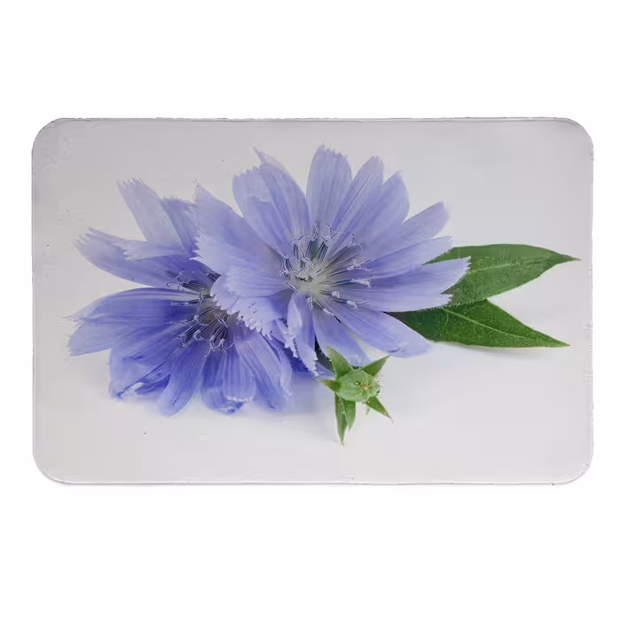 زیرقابلمه ای طرح گل  کد 5549