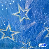 سرویس ملحفه آدنو مدل CH09 یک نفره 2 تکه