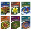 کتاب oxford primary skills Reading and Writing American اثر Tamzin Thampson انتشارات زبان مهر 6 جلدی