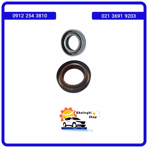 کاسه نمد پلوس ام وی ام X22