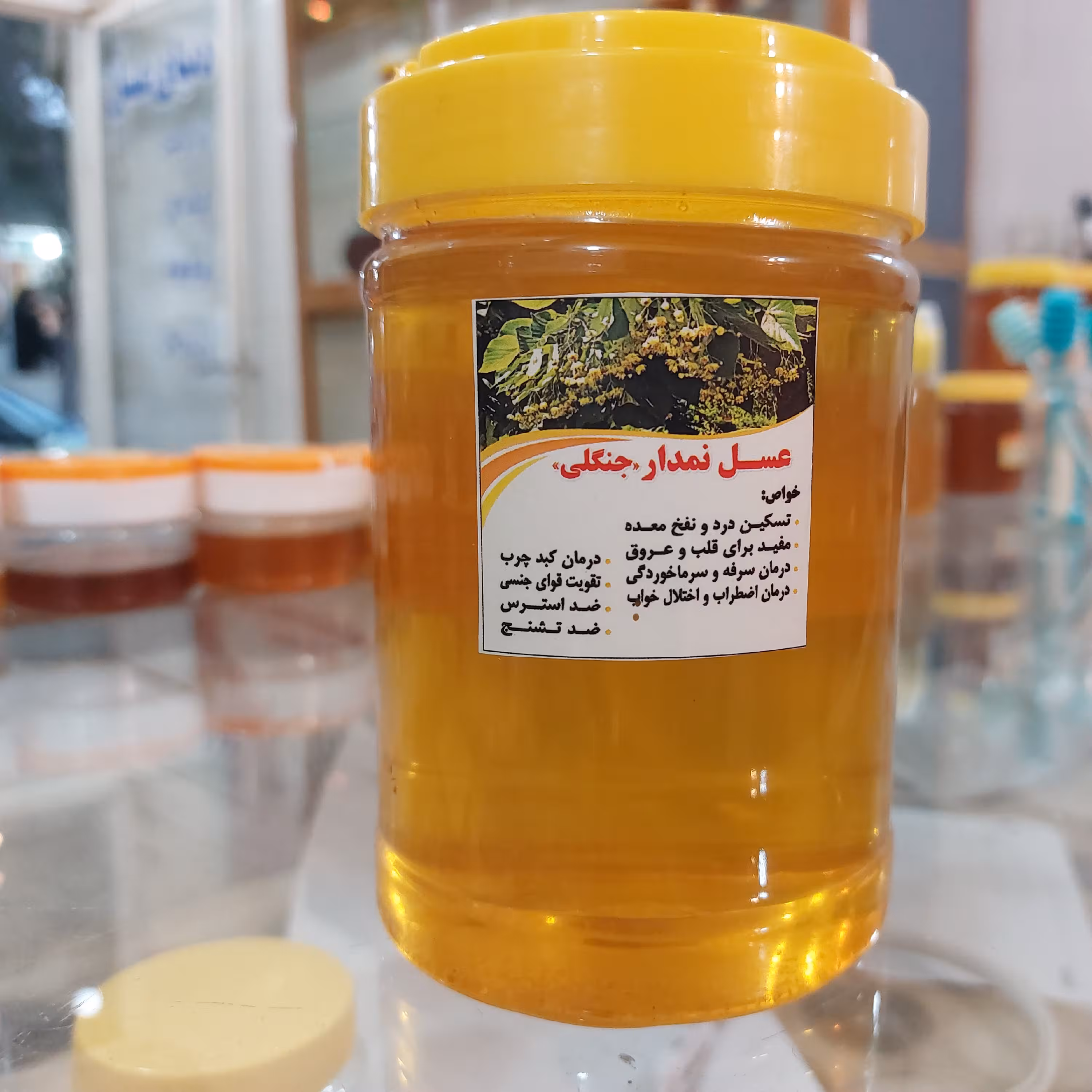 عسل نمدار جنگلی محصولی بی نظیر  از جنگل های سرسبز شمال