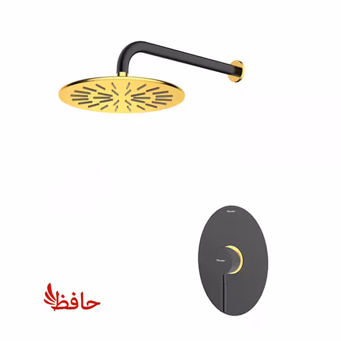 شیر حمام توکار شودر مدل روگن مشکی طلایی تیپ 1 BRASS