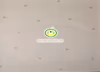 کاغذ دیواری نوجوان قاسدک آلبوم برندون (BRANDON) کد:7746