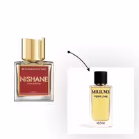 اسانس عطر Nishane Hundred Silent Ways برند Argeville - کد 1113 - نیشانه هاندرد سایلنت ویز 100ML - میلیوم پرفیوم