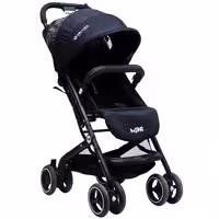 کالسکه مسافرتی دلیجان مدل مینی