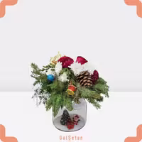 باکس شیشه ای نیکلاس