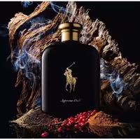 عطر ادکلن رالف لورن پولو مشکی اصل | Ralph Lauren Polo Black 125ml