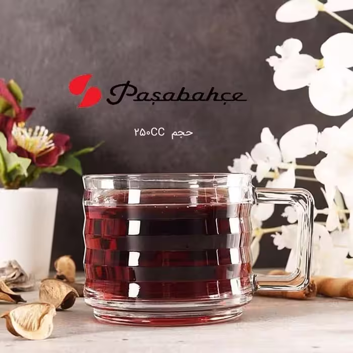 فنجان چای خوری پاشاباغچه مدل بریکس کد 55833 (بسته 6 عددی)