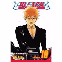 Bleach v19
