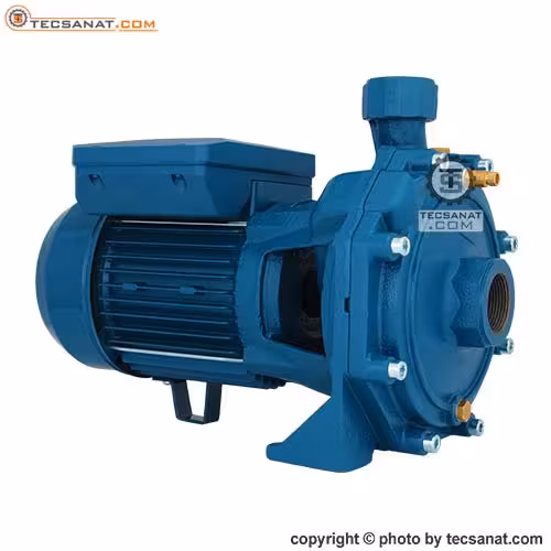 پمپ پنتاکس 1.5 اسب سانتریفیوژ دو پروانه مدل CB160/01 IR