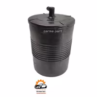 کنیستر پژو 405