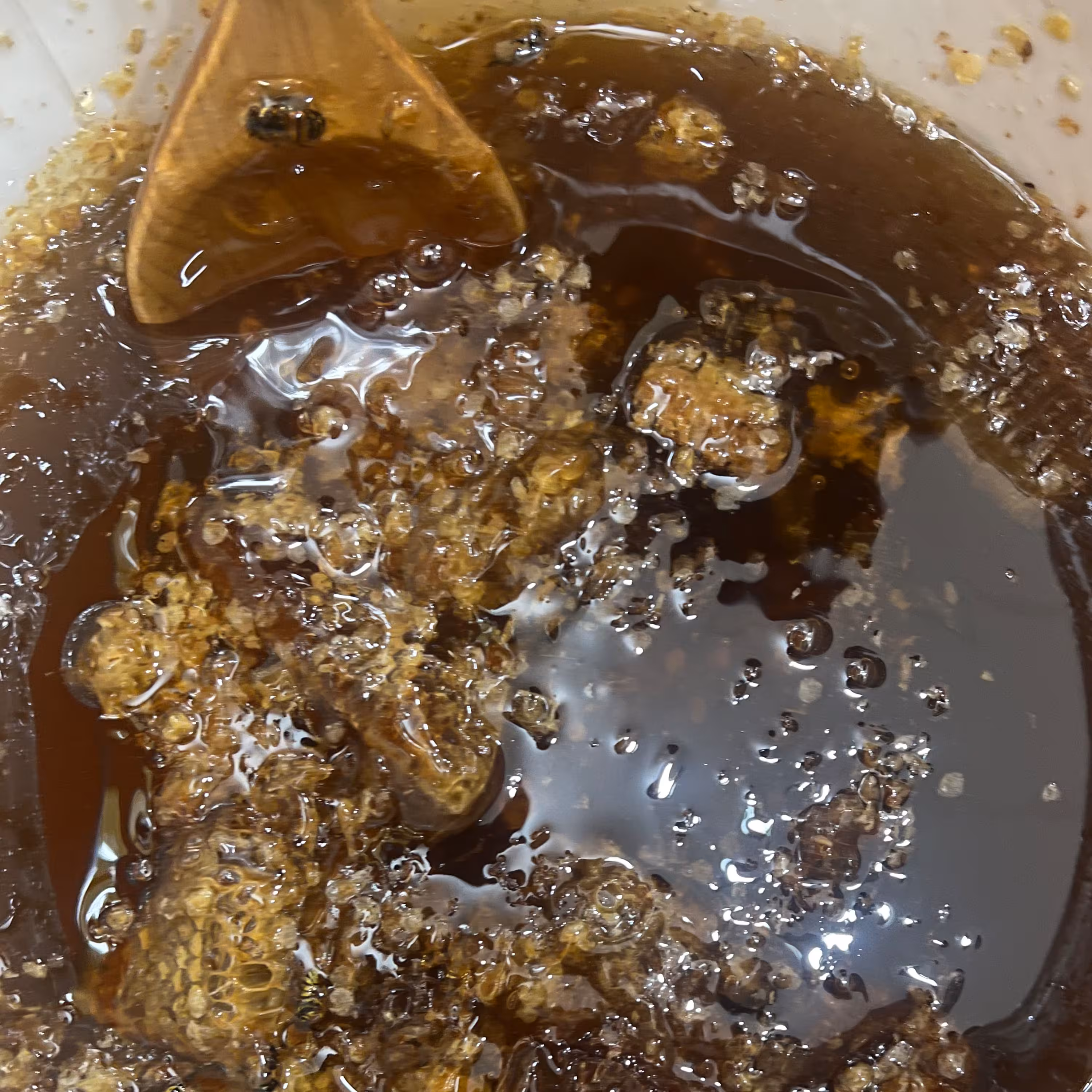 عسل وحشی و کوهی سبلان