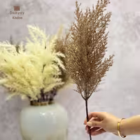 شاخه گل پامپاس