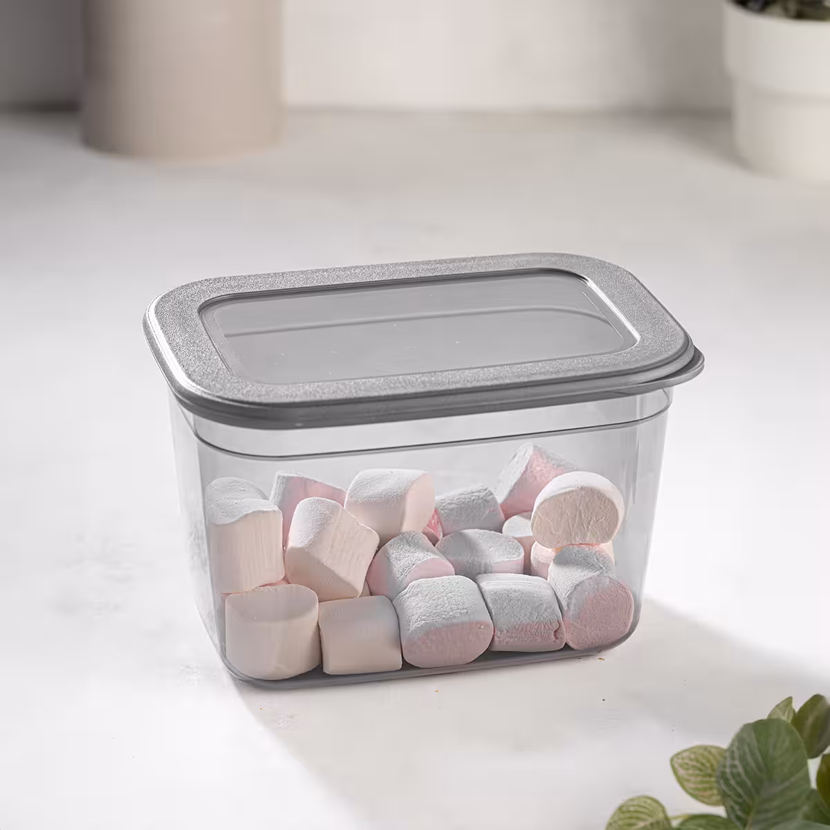 ظرف نگهدارنده فریزری فولی لایف Foly Life 0070