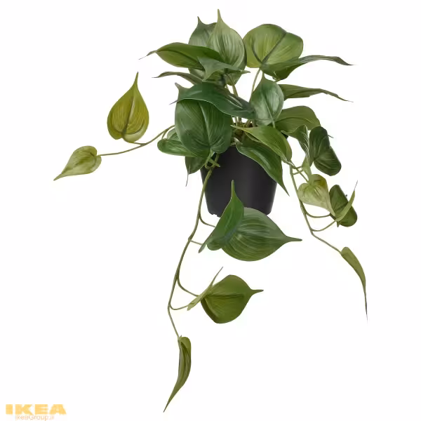 گیاه گلدانی پتوس مصنوعی مدل FEJKA | برند ایکیا | ارسال 15 الی 20 روز کاری