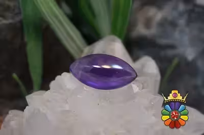 امتیست دامله(کاپوشی)