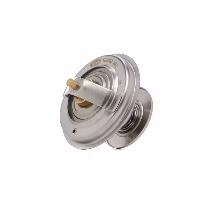 ترموستات سانگ یانگ موسو