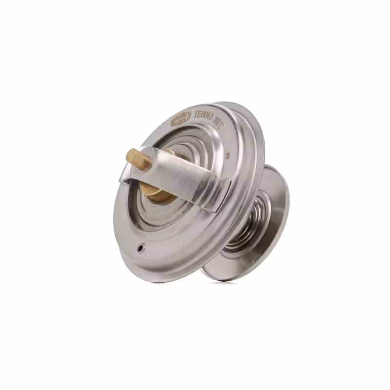 ترموستات سانگ یانگ موسو