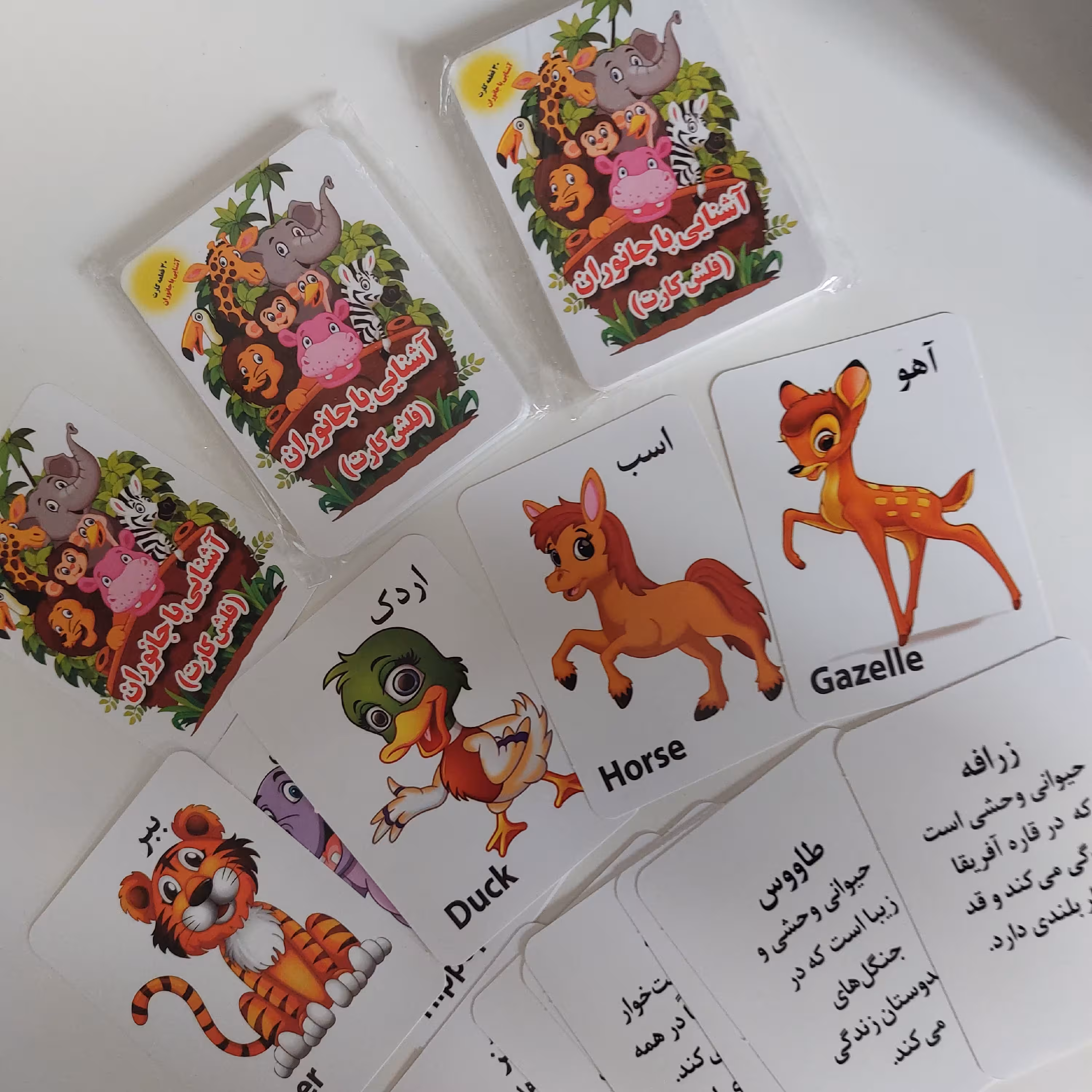 فلش کارت جانوران دو زبانه