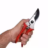 قیچی باغبانی لایت مدل 3164