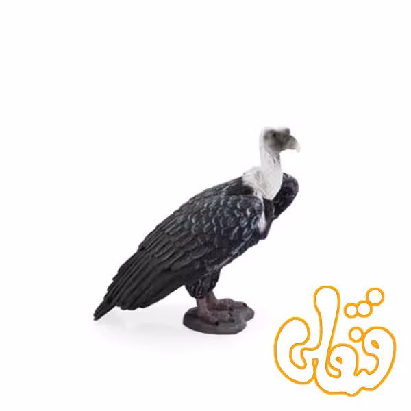 کرکس Griffon Vulture 387165