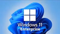لایسنس ویندوز 11 اینترپرایز (Windows 11 Enterprise OEM)