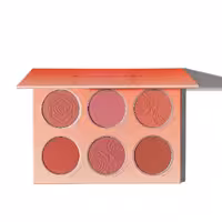 پالت رژگونه شش تایی شیگلم SHEGLAM | رنگ‌بندی کاربردی و بافت سبک