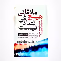 کتاب هیچ ملاقاتی تصادفی نیست اثر هاکان منگوچ انتشارات تیموری