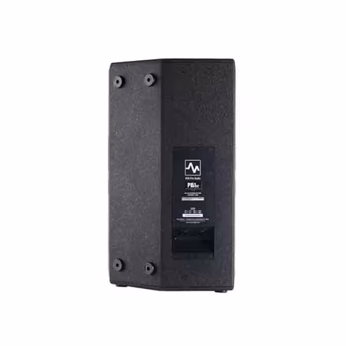 بلندگو پسیو آوا پرو اودیو مدل P151-V2