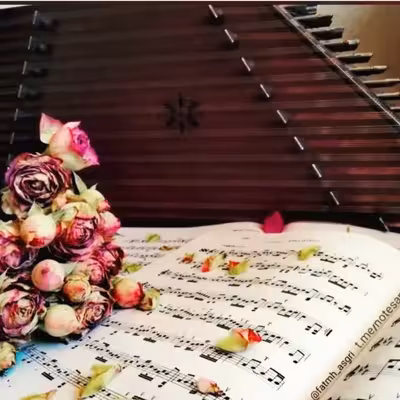 سنتور فراز مدل شور کوک 5 مهر کد A 43