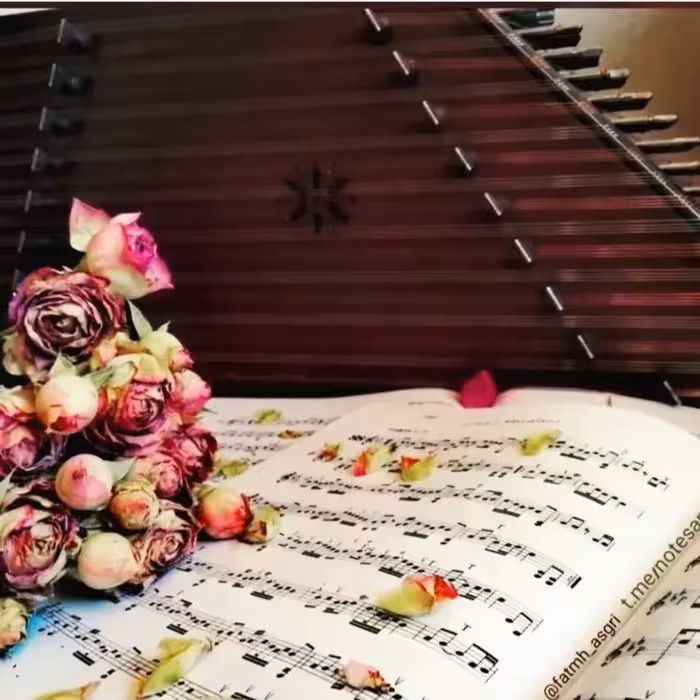 سنتور فراز مدل شور کوک 5 مهر کد A 43