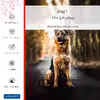 برچسب پوششی ماهوت مدل Dog_1 مناسب برای گوشی موبایل شیائومی Redmi Note 11 Pro Plus 5G