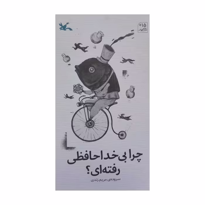 کتاب چرا بی خداحافظی رفته ای اثر مریم زندی انتشارات کانون پرورش فکری کودکان و نوجوانان