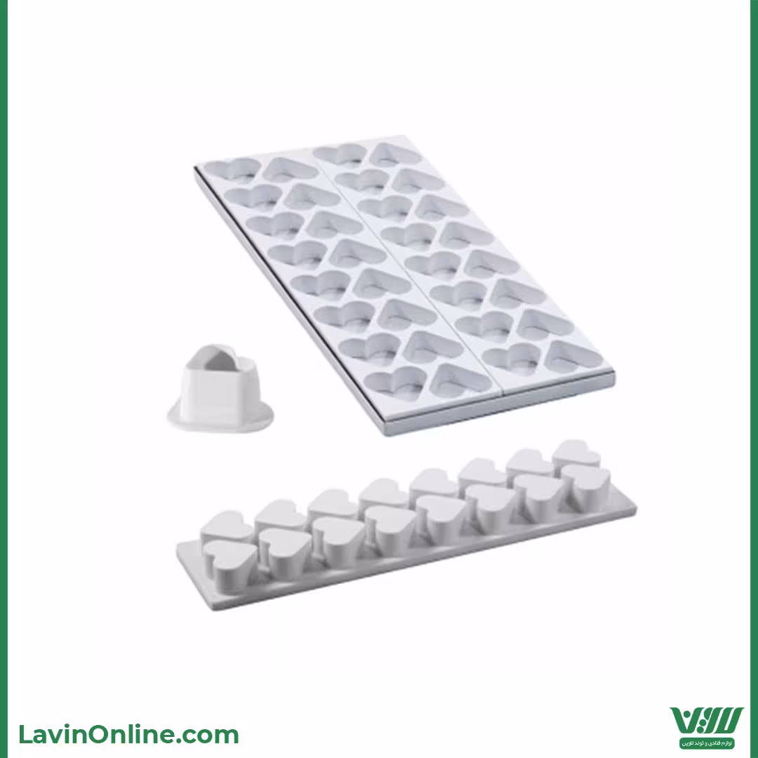 قالب میگنوپورشن قلب