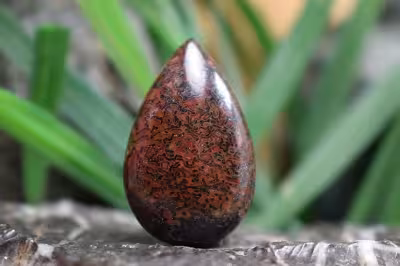 فسیل استخوان دایناسور