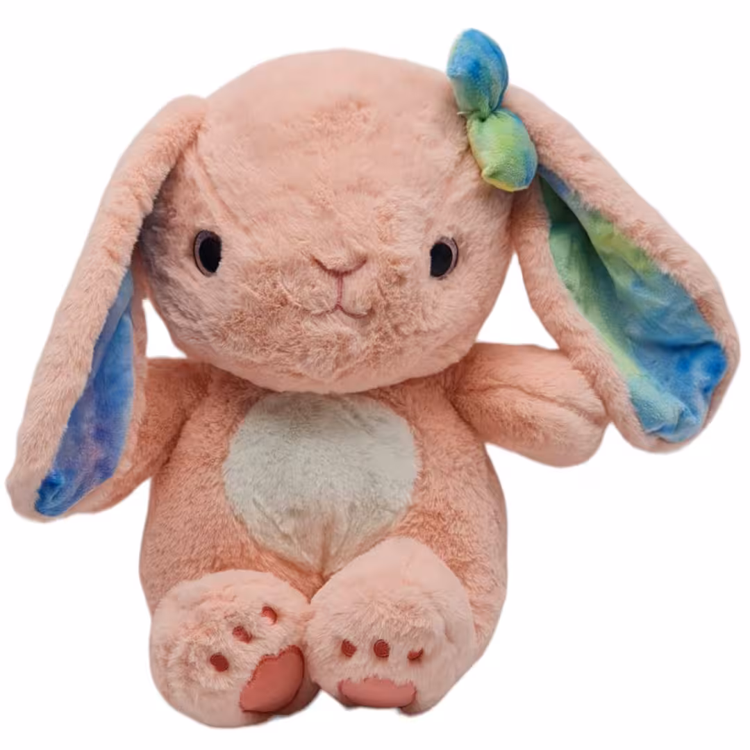 خرگوش چشم تيله اي گوش رنگي سایز 2 کد 529461 خارجی
