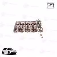 سر سیلندر لخت کوپا ریگان