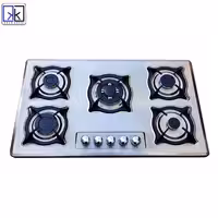 اجاق گاز صفحه ای استیل دنپاسر مدل DEN103