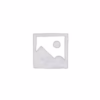 شیشه عقب اس دبلیو ام SWM G01