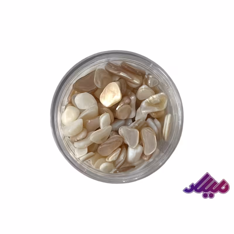 سنگ تزیینی صدفی