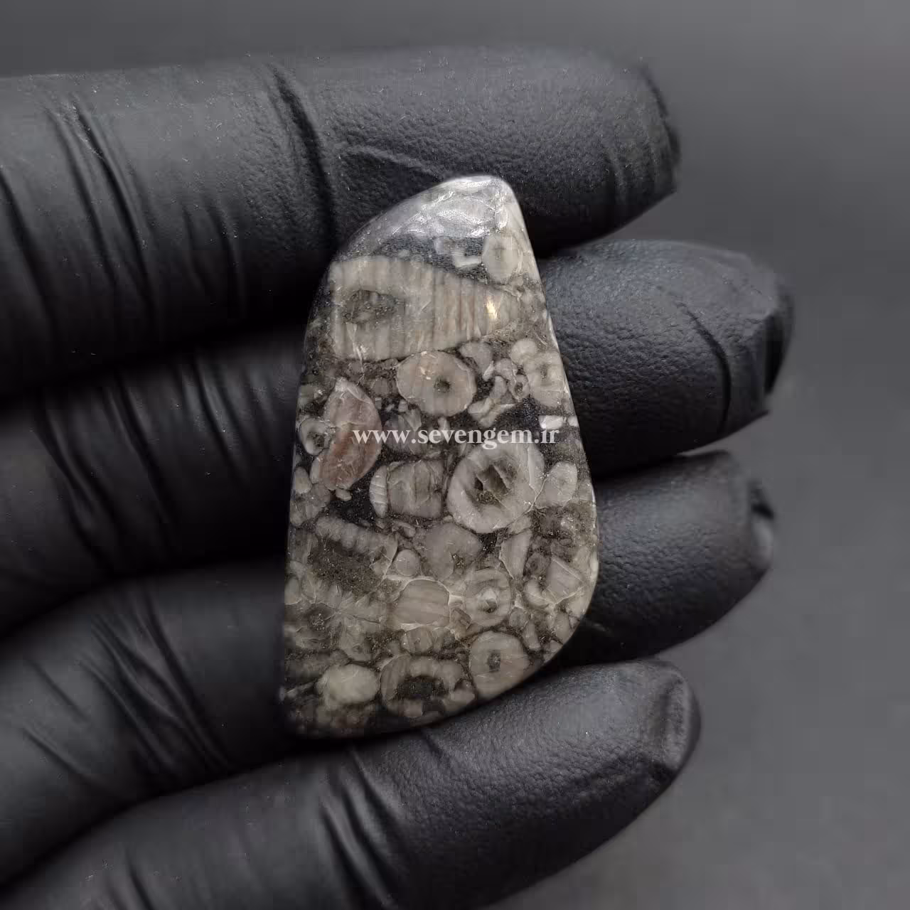 نگین فسیل کرینوئید (کدA680)