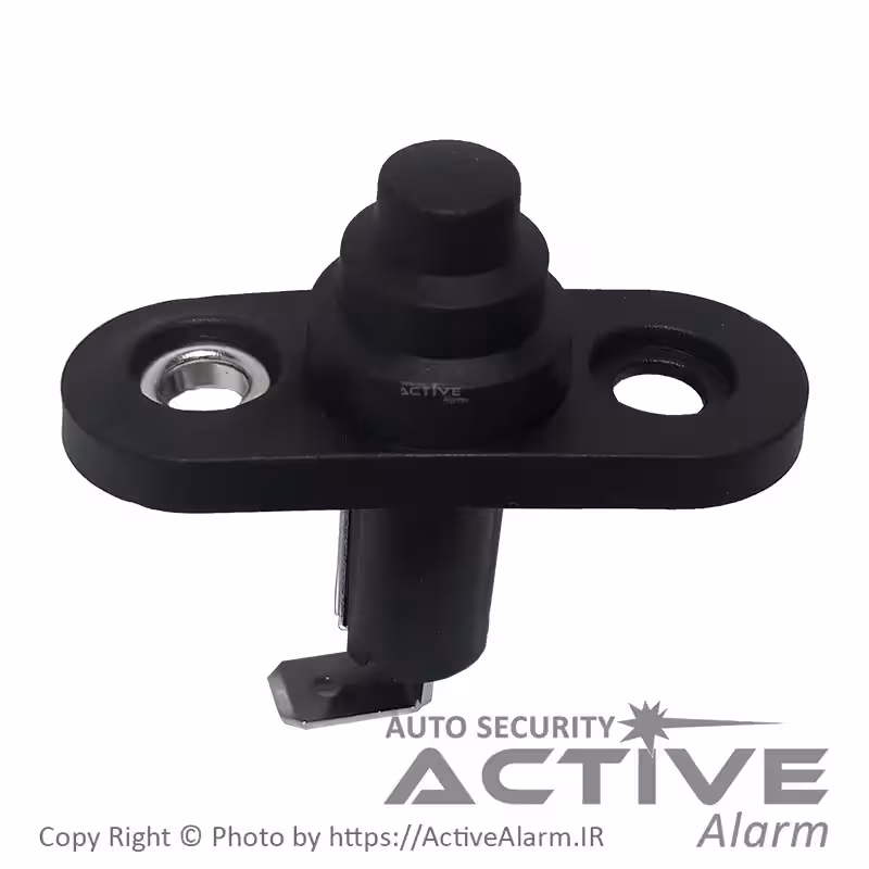 قیمت شاسی لادری فابریک پراید