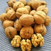 گردوی وارداتی کاغذی یک کیلویی