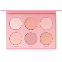 پالت رژ گونه 6 رنگ شیگلم SHEGLAM